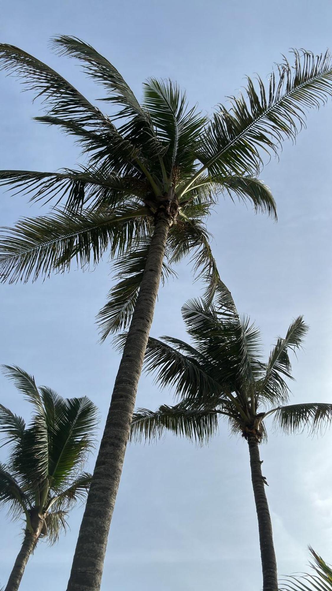 Poya Villa 阿杭格默 外观 照片